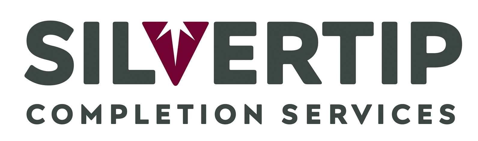 Silvertip Completion Solutions